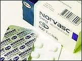 Norvasc Side Effects - Norvasc Information - Buy Norvasc from Canada