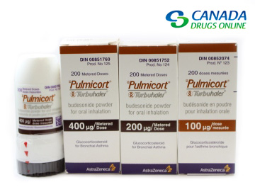 Pulmicort Side Effects - Pulmicort Infrmation - Buy Pulmicort from Canada